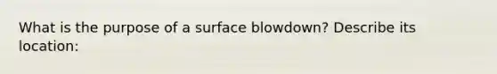 What is the purpose of a surface blowdown? Describe its location: