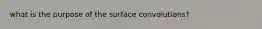 what is the purpose of the surface convolutions?