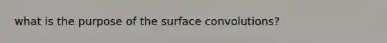 what is the purpose of the surface convolutions?