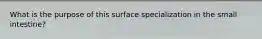 What is the purpose of this surface specialization in the small intestine?