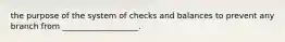 the purpose of the system of checks and balances to prevent any branch from ___________________.