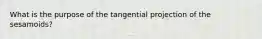 What is the purpose of the tangential projection of the sesamoids?