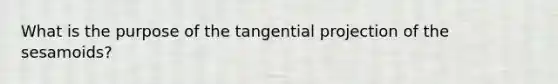 What is the purpose of the tangential projection of the sesamoids?