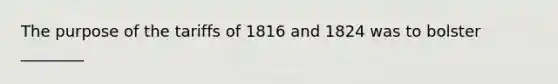 The purpose of the tariffs of 1816 and 1824 was to bolster ________