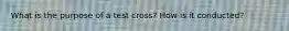 What is the purpose of a test cross? How is it conducted?