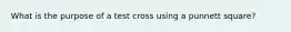 What is the purpose of a test cross using a punnett square?