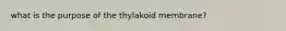 what is the purpose of the thylakoid membrane?