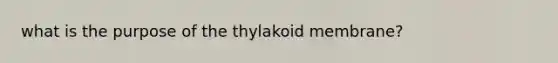 what is the purpose of the thylakoid membrane?