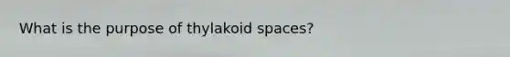 What is the purpose of thylakoid spaces?