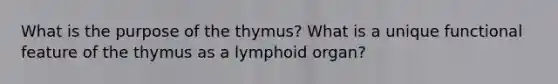 What is the purpose of the thymus? What is a unique functional feature of the thymus as a lymphoid organ?