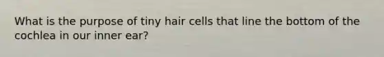 What is the purpose of tiny hair cells that line the bottom of the cochlea in our inner ear?