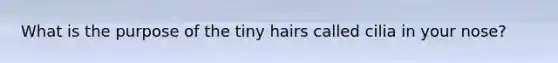 What is the purpose of the tiny hairs called cilia in your nose?