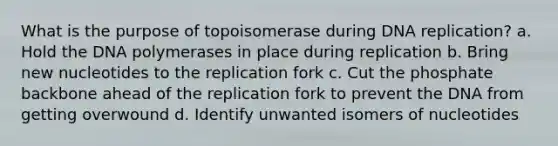 What is the purpose of topoisomerase during DNA replication? a. Hold the DNA polymerases in place during replication b. Bring new nucleotides to the replication fork c. Cut the phosphate backbone ahead of the replication fork to prevent the DNA from getting overwound d. Identify unwanted isomers of nucleotides