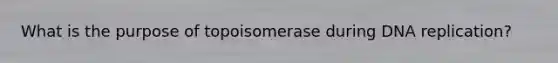 What is the purpose of topoisomerase during DNA replication?