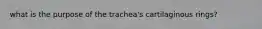 what is the purpose of the trachea's cartilaginous rings?