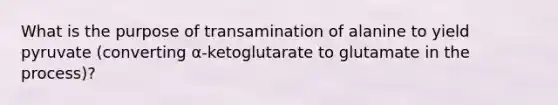 What is the purpose of transamination of alanine to yield pyruvate (converting α-ketoglutarate to glutamate in the process)?