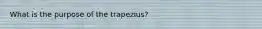 What is the purpose of the trapezius?