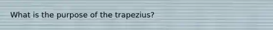 What is the purpose of the trapezius?