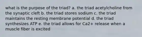 what is the purpose of the triad? a. the triad acetylcholine from the synaptic cleft b. the triad stores sodium c. the triad maintains the resting membrane potential d. the triad synthesizes ATP e. the triad allows for Ca2+ release when a muscle fiber is excited