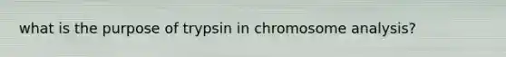 what is the purpose of trypsin in chromosome analysis?