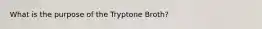 What is the purpose of the Tryptone Broth?