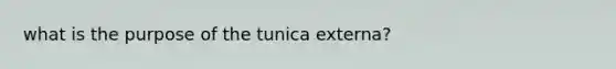 what is the purpose of the tunica externa?