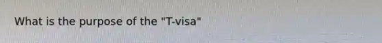 What is the purpose of the "T-visa"