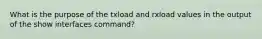 What is the purpose of the txload and rxload values in the output of the show interfaces command?