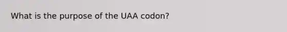 What is the purpose of the UAA codon?