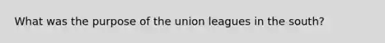 What was the purpose of the union leagues in the south?