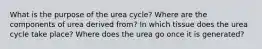 What is the purpose of the urea cycle? Where are the components of urea derived from? In which tissue does the urea cycle take place? Where does the urea go once it is generated?