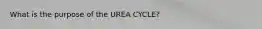 What is the purpose of the UREA CYCLE?