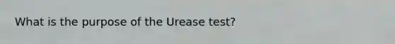 What is the purpose of the Urease test?