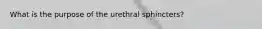 What is the purpose of the urethral sphincters?