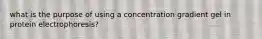 what is the purpose of using a concentration gradient gel in protein electrophoresis?