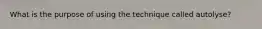 What is the purpose of using the technique called​ autolyse?