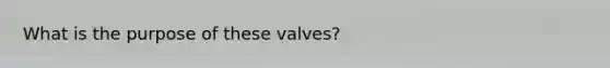 What is the purpose of these valves?