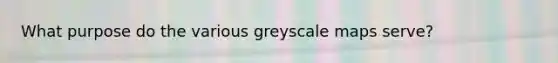 What purpose do the various greyscale maps serve?