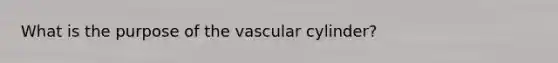 What is the purpose of the vascular cylinder?