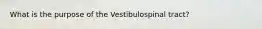 What is the purpose of the Vestibulospinal tract?