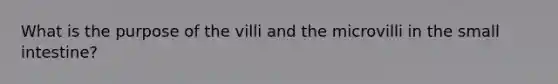 What is the purpose of the villi and the microvilli in the small intestine?