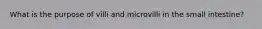 What is the purpose of villi and microvilli in the small intestine?