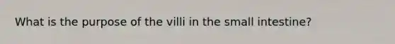 What is the purpose of the villi in the small intestine?