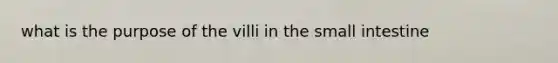 what is the purpose of the villi in the small intestine