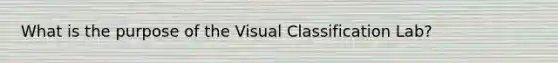 What is the purpose of the Visual Classification Lab?