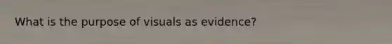 What is the purpose of visuals as evidence?