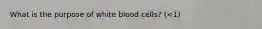 What is the purpose of white blood cells? (<1)