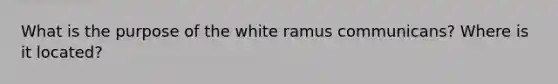 What is the purpose of the white ramus communicans? Where is it located?