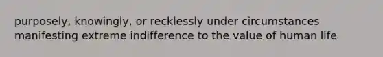 purposely, knowingly, or recklessly under circumstances manifesting extreme indifference to the value of human life