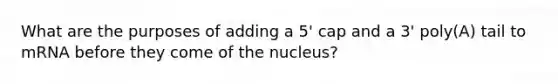 What are the purposes of adding a 5' cap and a 3' poly(A) tail to mRNA before they come of the nucleus?